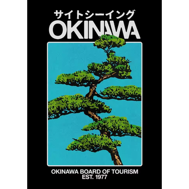 Tokyo Vault™ Abstract Okinawa Canvas Poster – Bauhaus Cat & Snake Wall Art Print